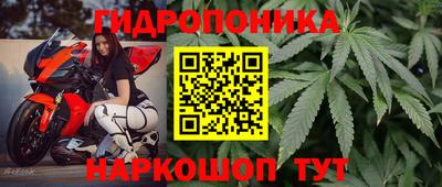 крисы Усть-Джегута