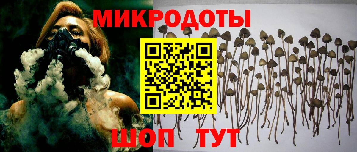 Псилоцибиновые грибы GOLDEN TEACHER Саянск