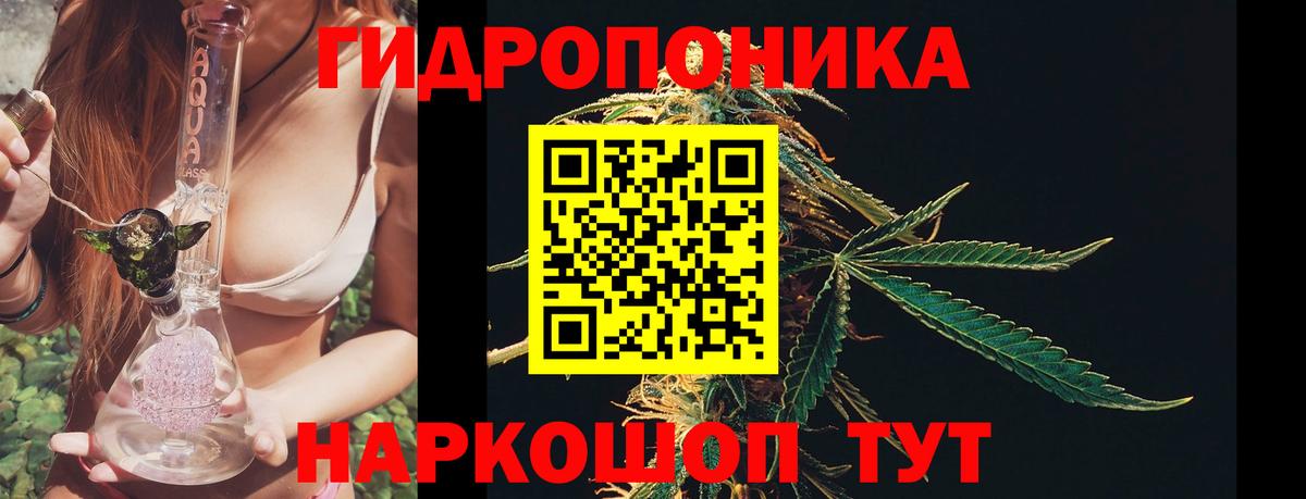 Бошки Шишки конопля Саянск